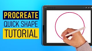 Procreate Quick Shape Tutorial  Procreate Tips [upl. by Drexler736]