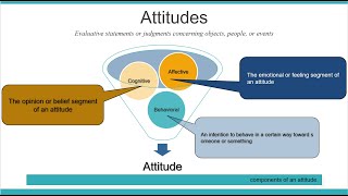 Attitudes And Job satisfaction  organizational behavior Chapter3 [upl. by Maryjane]