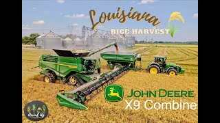 John Deere X9 Combine Harvesting Rice 4K [upl. by Zindman]