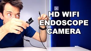 WIFI ENDOSCOPE CAMERA REVIEW [upl. by Necaj508]