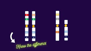 Heterozygous vs Hemizygous genotype alleles homozygous [upl. by Eenobe]