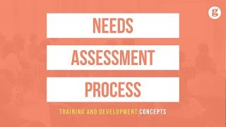 Needs Assessment Process [upl. by Cassi]