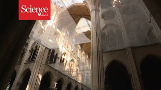 A look inside the restoration of Notre Dame cathedral [upl. by Lledo]