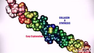 COLLAGEN SYNTHESISEasiest Explanation  USMLE STEP 1  BIOCHEMISTRY [upl. by Akcinahs]