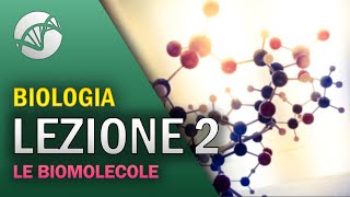 BIOLOGIA  Lezione 2  Le Biomolecole [upl. by Mezoff]