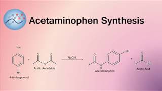 Acetaminophen Synthesis Mechanism  Organic Chemistry [upl. by Senga]