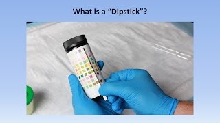 Interpretation of the Urinalysis Part 2  The Dipstick [upl. by Ayatnahs]