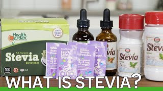 What is Stevia [upl. by Eisaj]