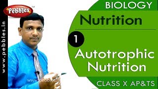 Autotrophic Nutrition Nutrition  Biology  Science  Class 10 [upl. by Pol230]