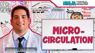 Cardiovascular  Microcirculation [upl. by Lyrac]