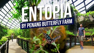 ENTOPIA by Penang Butterfly Farm  Things to do in Penang  Travel Malaysia [upl. by Essyla395]