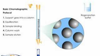 Column Chromatography [upl. by Omero]