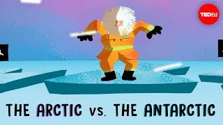 The Arctic vs the Antarctic  Camille Seaman [upl. by Ammadas773]