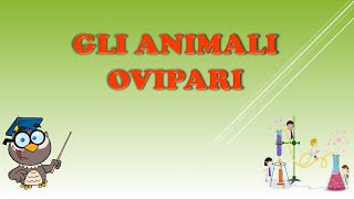 Animali Ovipari [upl. by Lekim88]