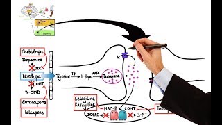 Pharmacology  DRUGS FOR PARKINSONS DISEASE MADE EASY [upl. by Ahseet]