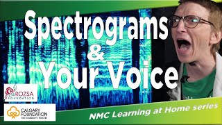 NMC Learning at Home Spectrograms amp Your Voice [upl. by Sher428]