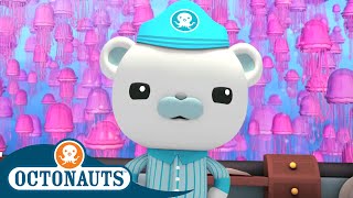 Octonauts  Jellyfish Adventure  Cartoons for Kids  Underwater Sea Education [upl. by Couq]