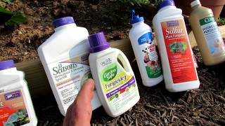 4 Common Mistakes Made When Managing Fungal Diseases in the Garden Overview of 6 Basic Fungicides [upl. by Itsur]