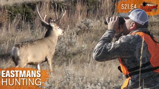 Mule Deer Hunting in Montana [upl. by Cathie]