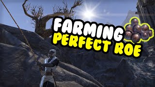 The BEST Perfect Roe Farming Location Elder Scrolls Online Guide PC PS4 Xbox [upl. by Fawne]