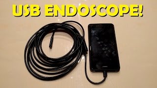 USB Endoscope  Abask 5m Product Review [upl. by Noirred86]