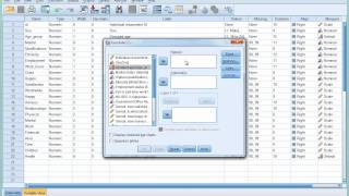 SPSS Tutorial 6  Introducing Crosstabulation [upl. by Diogenes]