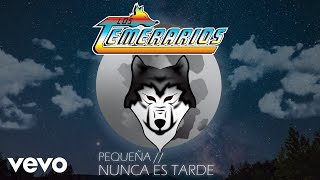 Los Temerarios  Nunca Es Tarde Animated Video [upl. by Icram]