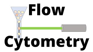 FLOW CYTOMETRY in 1 minute [upl. by Cherida]