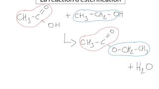 La réaction desterification [upl. by Tertius489]