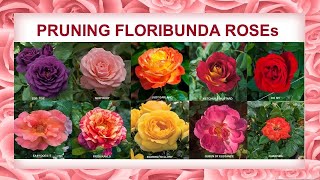 Pruning Floribunda Roses [upl. by Solakcin162]