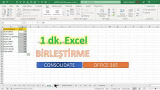 Excel 1 Dakika  Sayfaları Birleştirme [upl. by Meggs102]