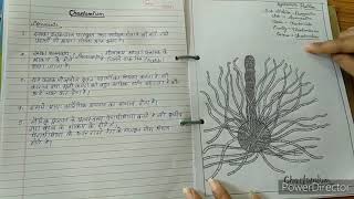 Botany practical file Bsc 1st year [upl. by Hess]