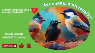 les chants doiseaux 1 [upl. by Abdu]