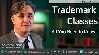 Trademark Classes  All You Need to Know  TradeMarkers® [upl. by Barrus]