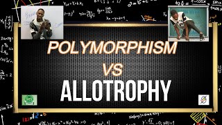 Polymorphism And Allotropy Simplified [upl. by Nirrac168]