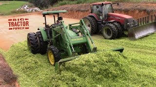 Corn Chopping Packing Silage [upl. by Ilajna]