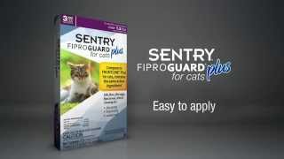 How to Apply SENTRY Fiproguard Plus for Cats [upl. by Atiner]