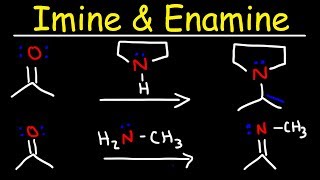 Imine and Enamine Formation Reactions With Reductive Amination [upl. by Arsuy80]