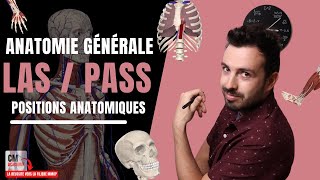 ANATOMIE GENERALE 🦴  Les positions anatomiques crânien caudal medial latéral proximal distal [upl. by Havard]