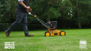 How to Remove Moss from your Lawn  Great Lawns Made Simple [upl. by Uyerta895]