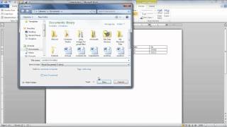 How to Create a Data Source in Microsoft Word 2010 [upl. by Eihtur]