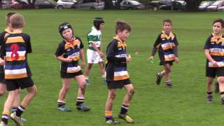 Border Junior Rugby Under 8s First Win 2017 [upl. by Kinnard]