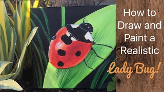 Lady Bug Acrylic Painting  By Artist Andrea Kirk  The Art Chik [upl. by Swirsky960]