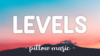 Levels  Avicii Lyrics 🎵 [upl. by Wilmette]