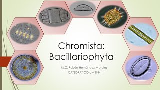 Introducción al estudio de las Diatomeas Bacillariophyta [upl. by Reinhard]