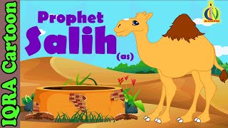 Prophet Stories SALIH AS  Islamic Cartoon  Quran Stories  Islamic Children Kids Videos  Ep 05 [upl. by Macur103]