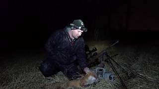 Pennsylvania Predator Hunting at Night [upl. by Apostles]