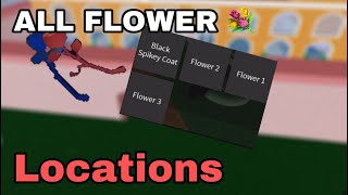 ALL SPAWN LOCATIONS FOR FLOWERS IN BLOX PIECE  UPDATE 8 [upl. by Rotce560]