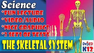 GRADE 6 The Skeletal System  by Sir CG  S6LTIIcd2 [upl. by Gyasi458]