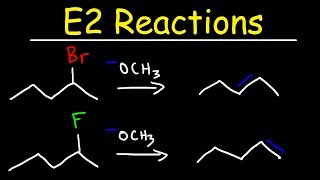 E2 Reaction Mechanism  Hoffman Elimination vs Zaitsevs Rule [upl. by Johnsten]